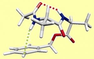 Synergy btetween experiment and theory for the simulation of protein folding