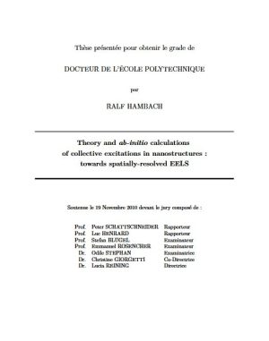 Théorie et calculs ab-initio des excitations collectives dans les nanostructures : vers une spectroscopie EELS résolue spatialement
