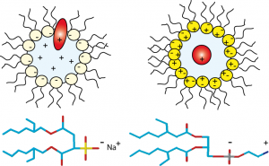 NMR : Novel zwitterionic reverse micelles for encapsulation of proteins in low-viscosity media