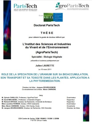 The role of uranium speciation in its bioaccumulation, transport, and toxicity in plants. Application to phytoremediation