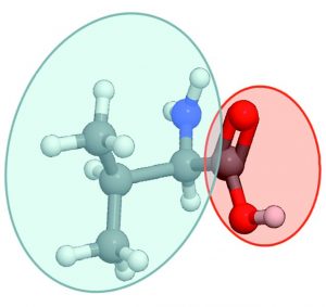 Effet de l’environnement sur la fragmentation par irradiation d’ions lourds de molécules d’intérêt biologique