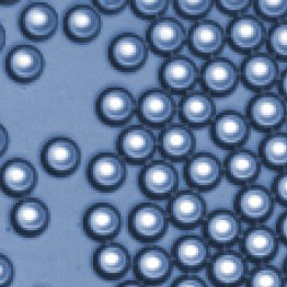 Procédé microfluidique de stabilisation d’émulsions d’huile par des nanoparticules de silice