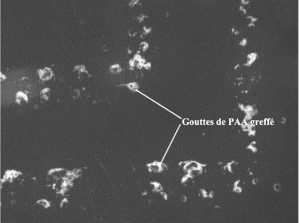 Procédé pour modifier un polymère de polydopamine ou un dérivé de celui-ci et polymère ainsi modifié