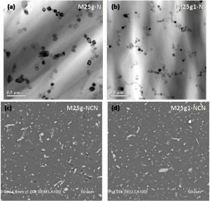 Study of CaMoO4 rich model ceramics for the containment of high activity nuclear waste