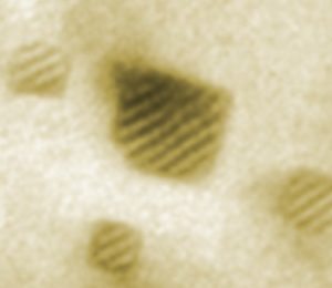 Effet de la composition chimique sur la cinétique de coalescence des oxydes dans les aciers renforcés ODS Fe-14%Cr