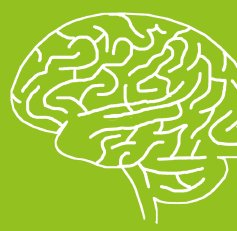 Semaine du cerveau : conférences d’intérêt général à Neurospin