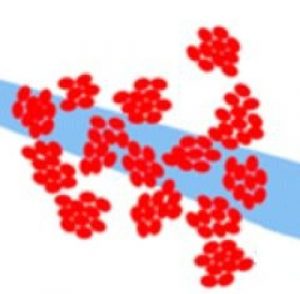 Synthèse de nanoparticules dans l’eau : un mode de croissance original et générique
