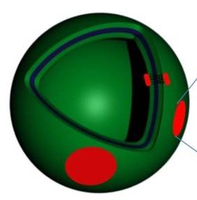 Structure de nano-vésicules hybrides lipides-polymères