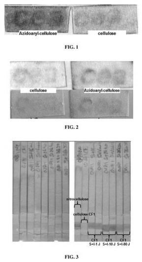 Procédé de photo-immobilisation de biomolécules sur un support non fonctionnalisé