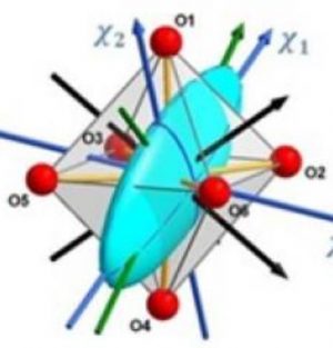 When the magnetic anisotropy of molecules reveals its shapes to neutrons