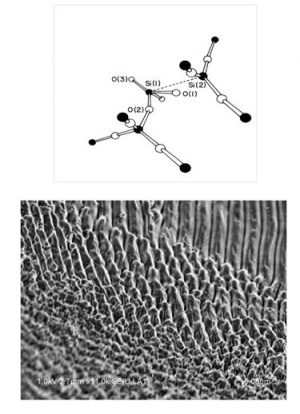 Electron dynamics in dielectrics: from point defect to optical breakdown