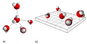 Competing coexisting phases in 2D water