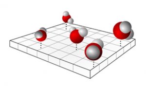 Competing coexisting phases in two-dimensional water