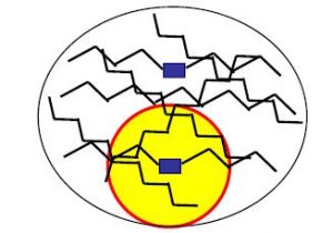 Polymères sous rayonnements ionisants : autoprotection par les défauts radio-induits