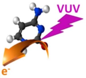 Identification spécifique des différentes formes de la cytosine, l’une des « briques » constituant l’ADN et l’ARN