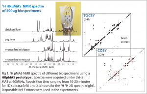 NMR towards metabolomics