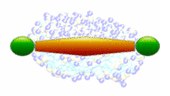 Contrast-Matched Isotropic Bicelles: A Versatile Tool to Specifically Probe the Solution Structure of Peripheral Membrane Proteins Using SANS