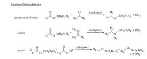 Utilisation de formiates silylés comme équivalents d’hydrosalines