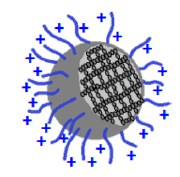 Cationic thermoresponsive poly(n-vinylcaprolactam) microgels synthesized by emulsion polymerization using a reactive cationic macro-raft agent