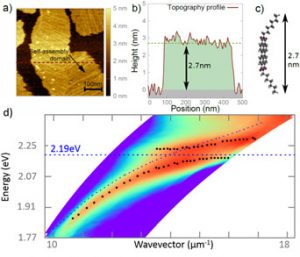 Strong coupling between self-assembled molecules and surface plasmons