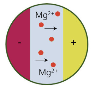 Exploring nanostructured alloys as negative electrodes for Mg-ion batteries