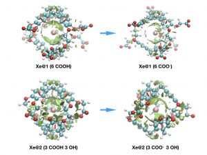 Computational approaches of xenon encapsulated in functionalized host systems