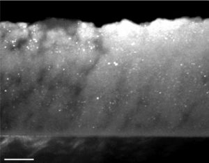 Étude de la formation de couches minces nanocomposites fonctionnelles par couplage PVD avec un jet de nanoparticules