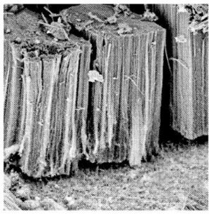 Procédé de préparation d’une électrode comprenant un support en aluminium, des nanotubes de carbone alignés et un polymère organique électro-conducteur, la dite électrode et ses utilisations