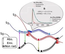 Dynamics of excited states in complex systems