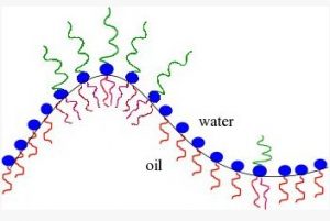 The curvature changes induced by grafted polymers in microemulsions