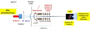 Génération de paquets d’électrons ultra-courts et applications