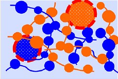 How Necklace Pearls Evolve in Hydrophobic Polyelectrolyte Chains under Good Solvent Addition: A SANS Study of the Conformation