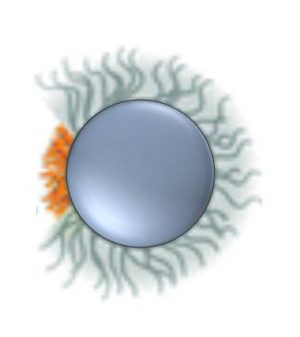 Procédé photochimique d’élaboration de nanoparticules bi-fonctionnelles