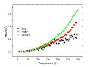 Protein−Polymer Dynamics as Affected by Polymer Coating and Interactions