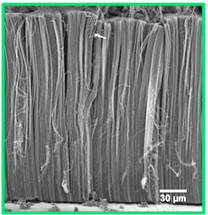 Synthèse en une seule étape de tapis de nanotubes de carbone verticalement alignés sur feuilles d’aluminium