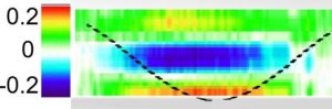 Observation expérimentale d’un effet thermoélastique dans l’état liquide