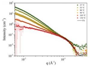 Chain Conformation and Aggregation Structure Formation of a High Charge Mobility DPP-based Donor-acceptor Conjugated Polymer