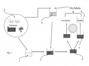 Photo-catalyseur à base de TiO2, procédés de préparation dudit photocatalyseur et son utilisation pour dégrader une biomasse