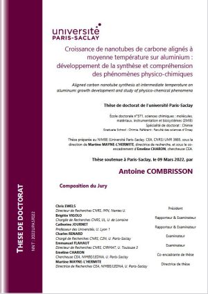 Croissance de nanotubes de carbone alignés à moyenne température sur aluminium : développement de la synthèse et compréhension des phénomènes physico-chimiques