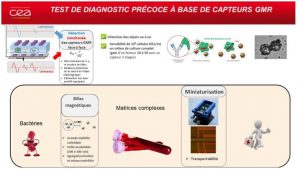 Offre de post-doc SPEC : « Capteurs GMR pour la détection de bactéries – GMR sensors for the detection of bacteria »