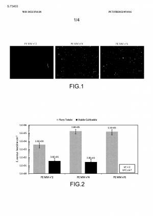 Mélange-maître à activité bactériostatique ou bactéricide, son procédé de préparation et ses utilisations