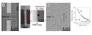 Observing and modifying electrically biased graphene nanoribbon devices inside the TEM