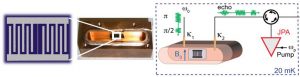 Magnetic resonance with quantum microwaves