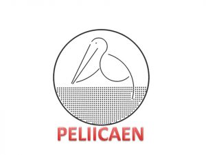 PELIICAEN :  » Implanter l’ion que l’on veut, où l’on veut »