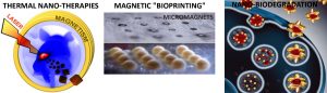 Contribution of magnetic and plasmonic nanoparticles to medicine