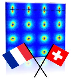 French-Swiss Meeting : SANS for Soft Matter