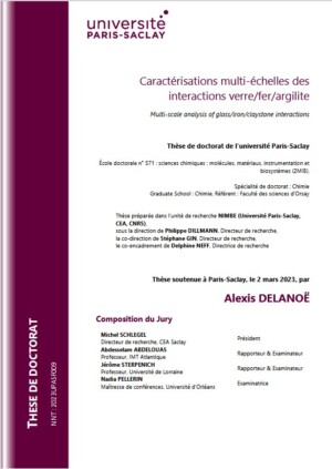 Multi-scale analysis of glass/iron/claystone interactions