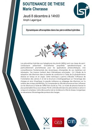 Dynamiques ultrarapides dans les pérovskites hybrides