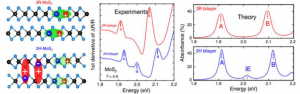 Theoretical investigations of optical properties in homo-bilayers transition  metal dichalcogenides : stacking effect and electric field tuning