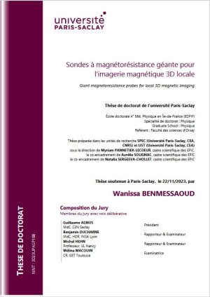 Sondes à magnétorésistance géante pour l’imagerie magnétique 3D locale